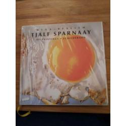 Boek mega realism TJALF SPARNAAY oilpaintings schilderijen