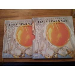 Boek mega realism TJALF SPARNAAY oilpaintings schilderijen