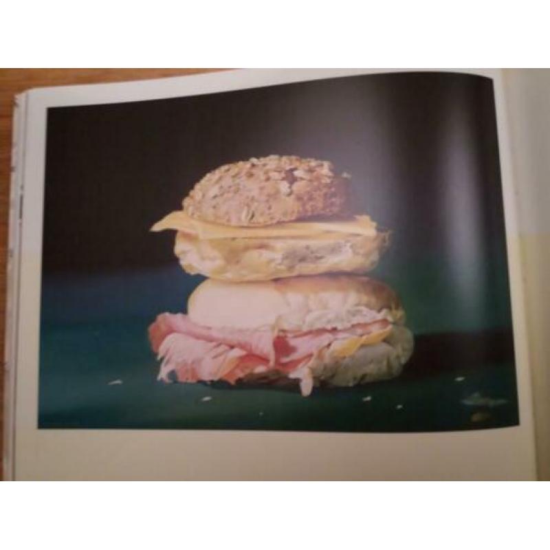 Boek mega realism TJALF SPARNAAY oilpaintings schilderijen