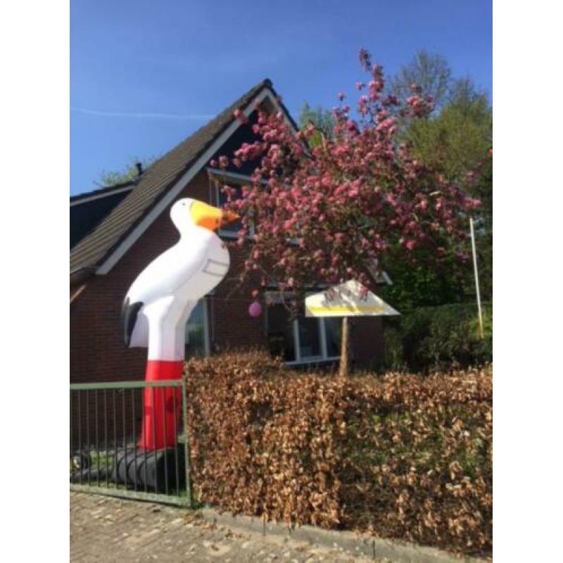 Ooievaar te huur in Vroomshoop/Wierden