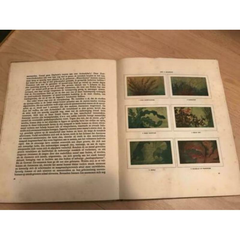 Verkade album Zeewater, aquarium en Terrarium