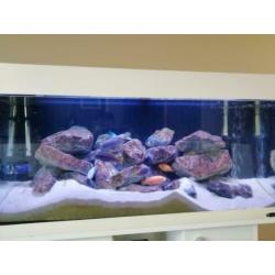 Ferplast Dubai 100 cm Aquarium