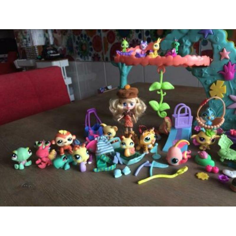 Littlest pet shop fairy achtbaan set / petshop
