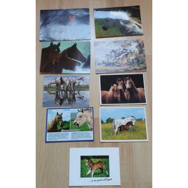 Diverse paarden spullen boeken,kaarten etc.