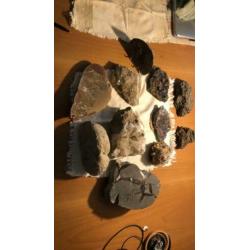 Mineralen