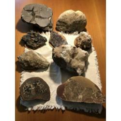 Mineralen