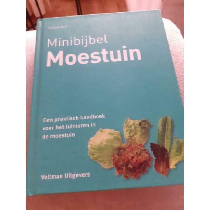 Minibijbel moestuin