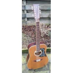 Tanglewood Evolution 12snarig, semi akoestisch, Designed UK.