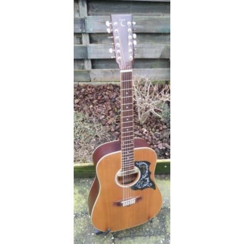 Tanglewood Evolution 12snarig, semi akoestisch, Designed UK.