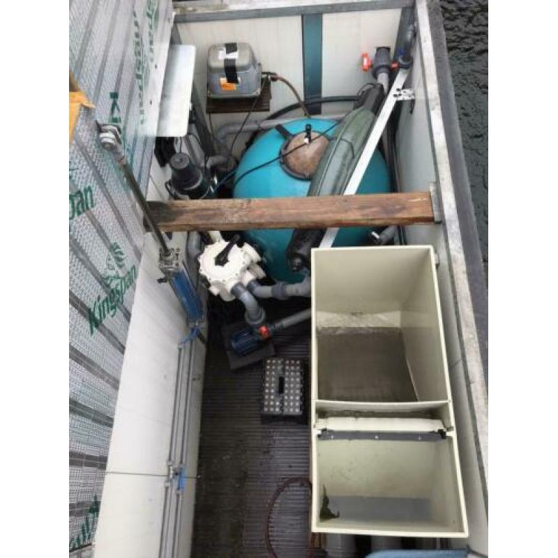 Te koop Koi s en ultrabead ub100 en ultrasieve
