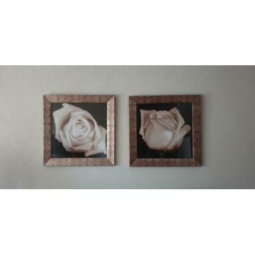 2 x schitterende rozen schilderijen 34,5 cm x 34.5 cm.