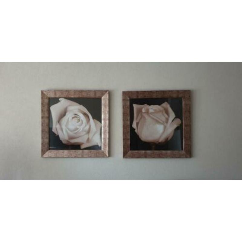 2 x schitterende rozen schilderijen 34,5 cm x 34.5 cm.