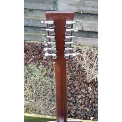 Tanglewood Evolution 12snarig, semi akoestisch, Designed UK.