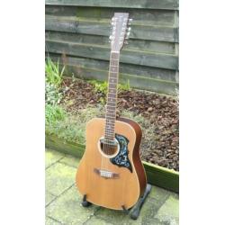 Tanglewood Evolution 12snarig, semi akoestisch, Designed UK.