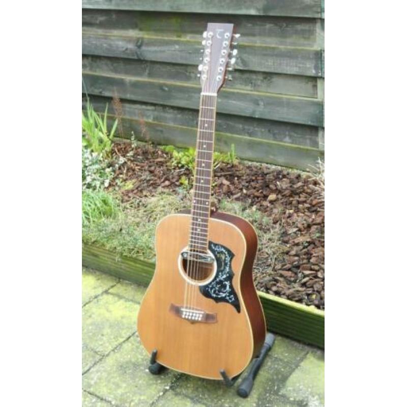 Tanglewood Evolution 12snarig, semi akoestisch, Designed UK.