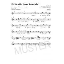 101 Deutsche Schlagers Midifiles + Boek voor Yamaha keyboard