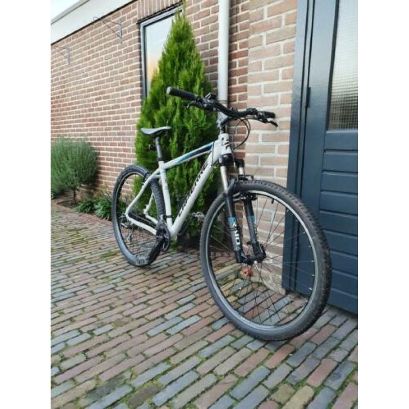 La Pierre Raid 129 Maat L 29er