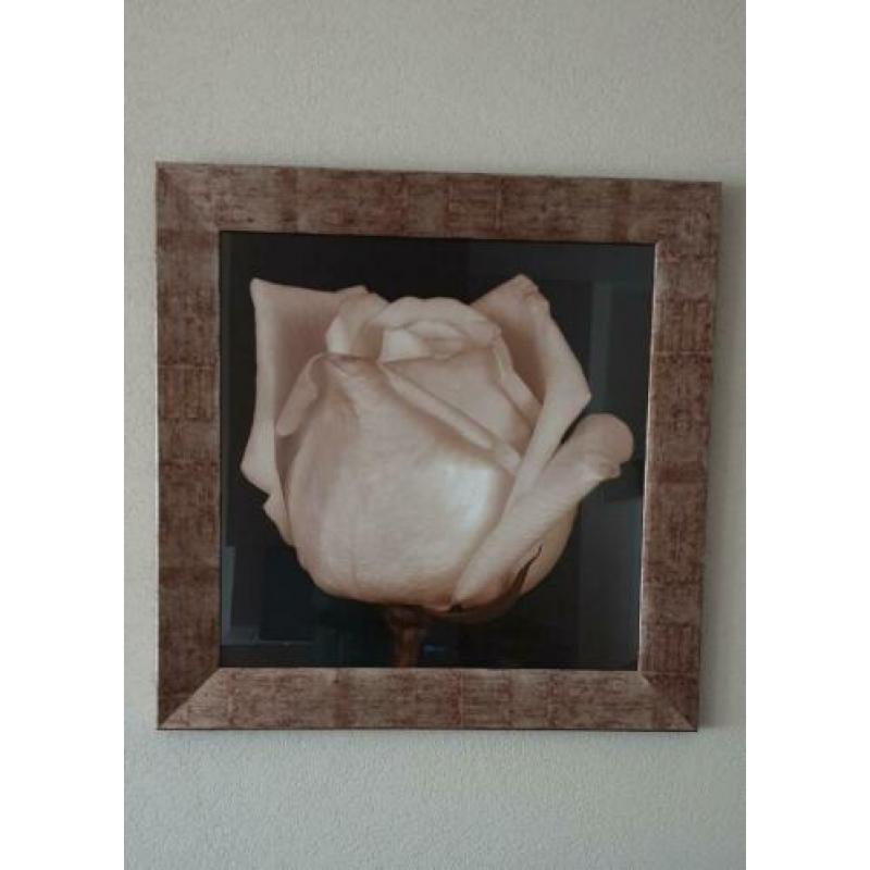 2 x schitterende rozen schilderijen 34,5 cm x 34.5 cm.