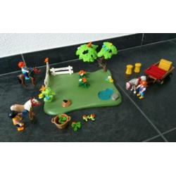 Jubileumset pony en paarden weide met hooiwagen 5457