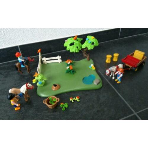 Jubileumset pony en paarden weide met hooiwagen 5457