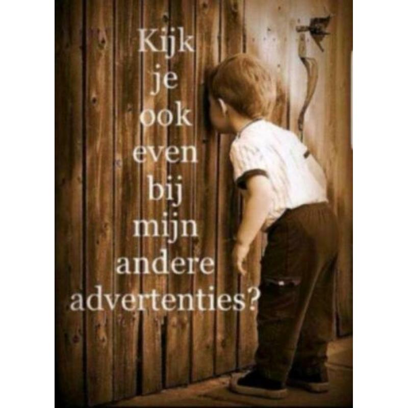 Walt Disney Een Dag op Ontdekking met Winnie de Poeh