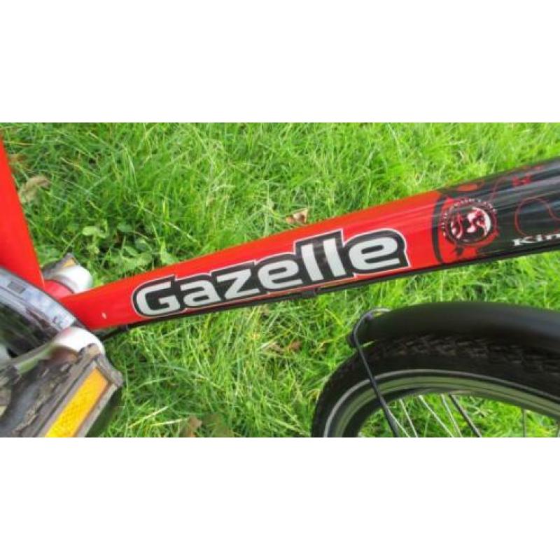 Kwaliteit Gazelle Shark 24 inch 3 Nexus + vvv + Naafdynamo.