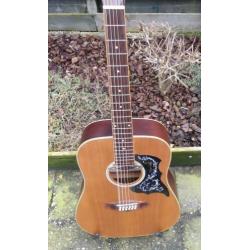 Tanglewood Evolution 12snarig, semi akoestisch, Designed UK.