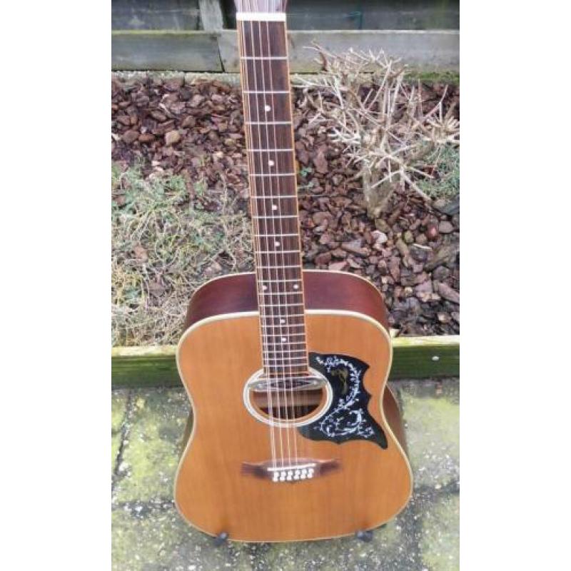 Tanglewood Evolution 12snarig, semi akoestisch, Designed UK.