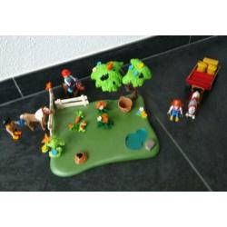Jubileumset pony en paarden weide met hooiwagen 5457