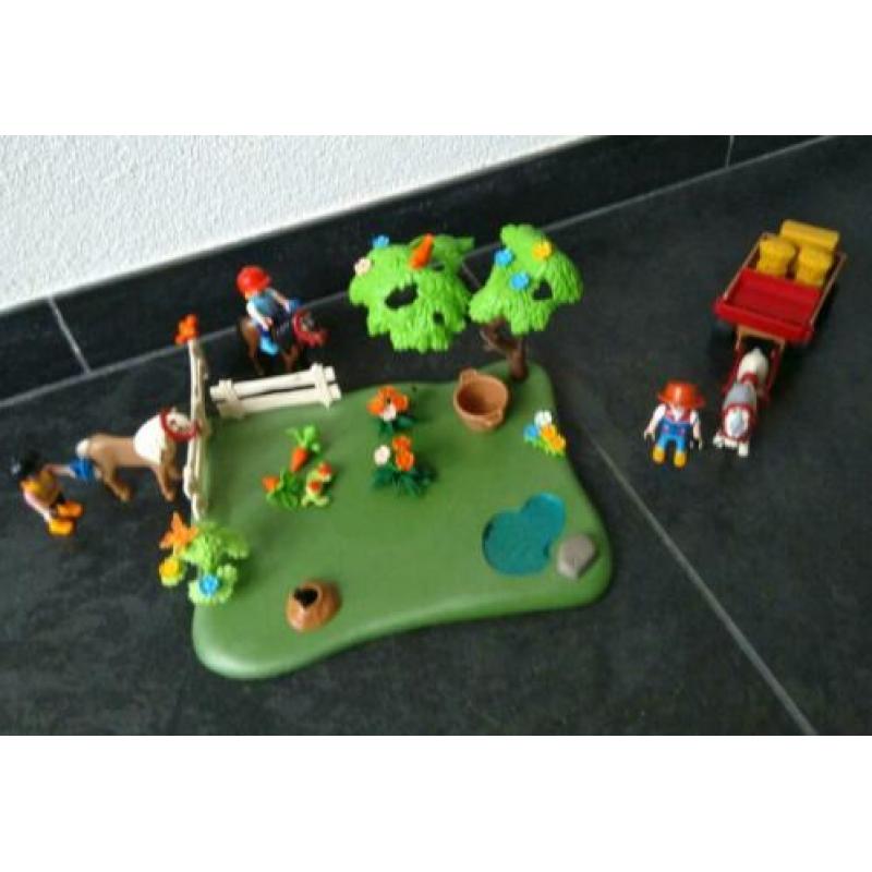 Jubileumset pony en paarden weide met hooiwagen 5457