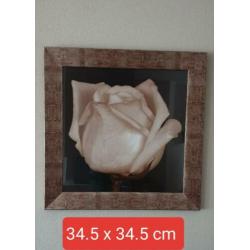 2 x schitterende rozen schilderijen 34,5 cm x 34.5 cm.
