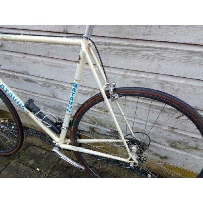 Batavus professional