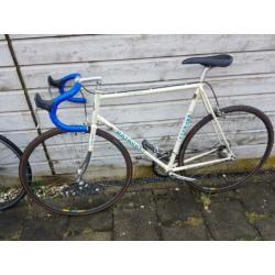 Batavus professional