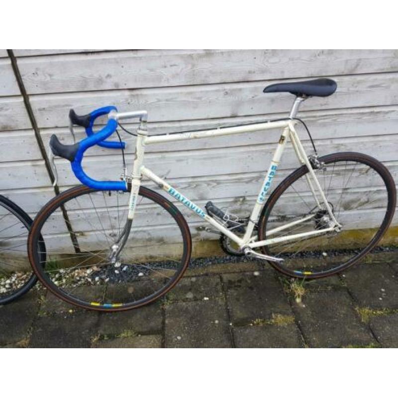 Batavus professional