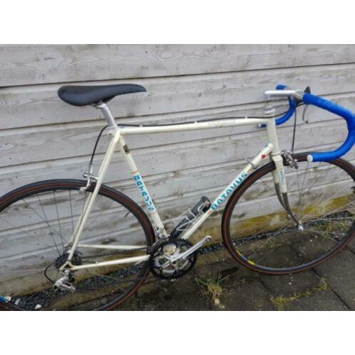 Batavus professional