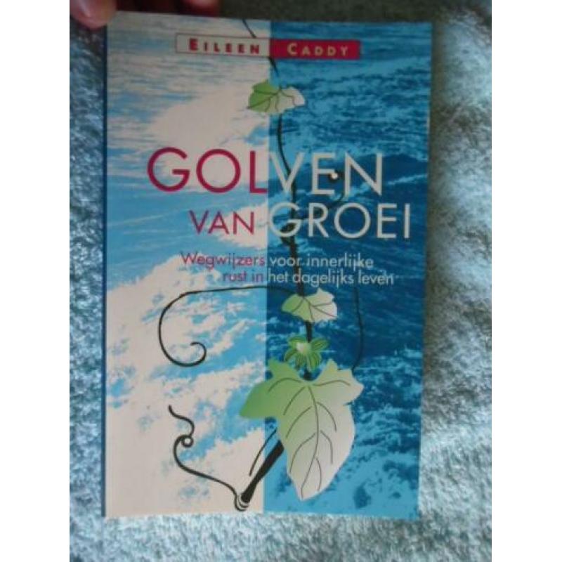 Golven van groei, EIleen Caddy