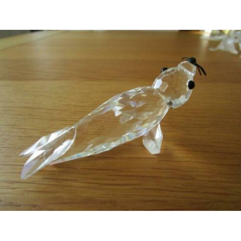 Te koop van Swarovski de Zeehond Groot