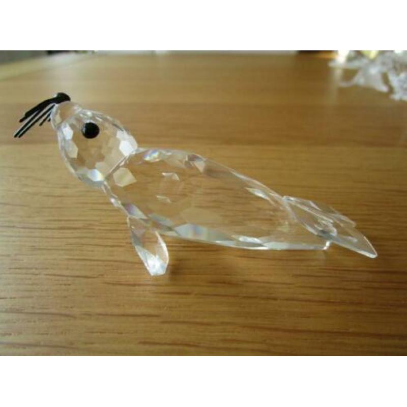 Te koop van Swarovski de Zeehond Groot