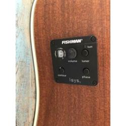 Richwood akoestische gitaar rd17c ce incl gigbag
