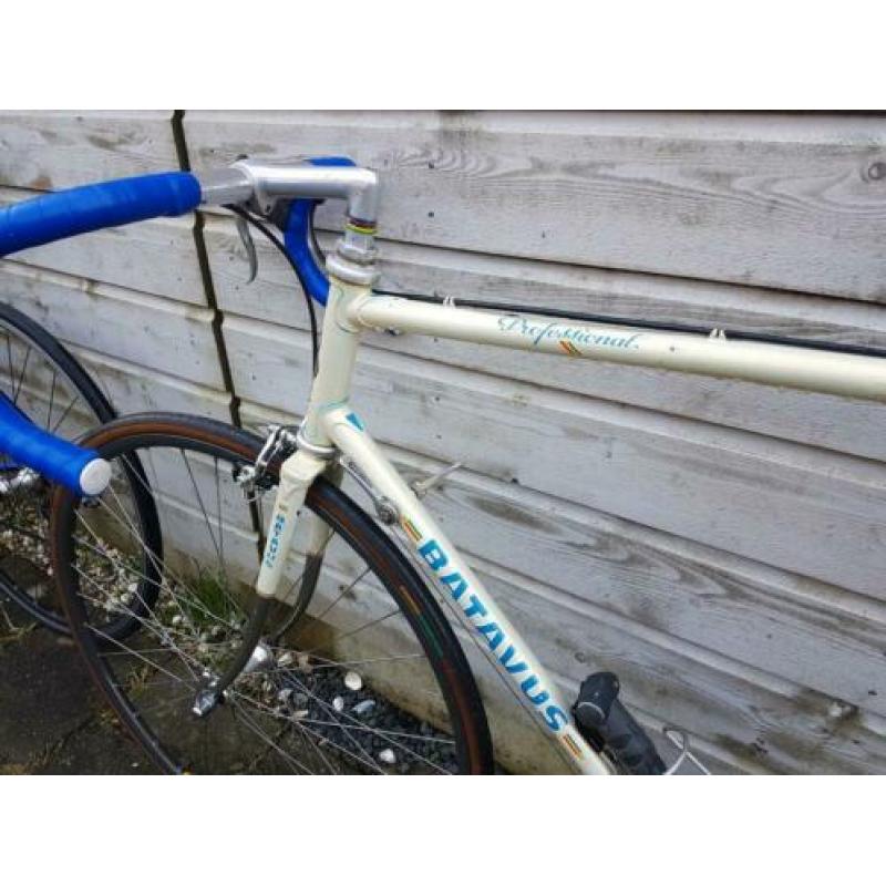 Batavus professional
