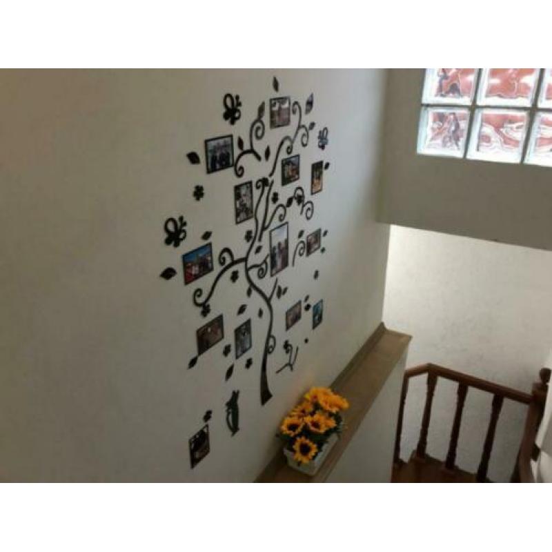 Kwaliteit en speciaal ontwerp 3D boom voor foto collage