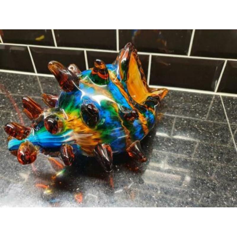Schelp stekels murano style 28x16cm