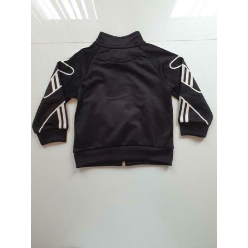 Adidas trainingspak maat 74