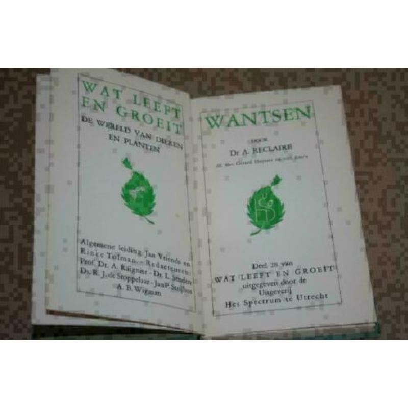 Wantsen (Insecten) - Serie Wat leeft en groeit - Ca 1950 !!