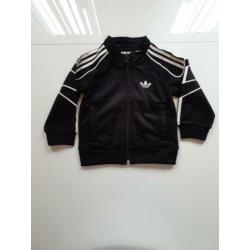 Adidas trainingspak maat 74