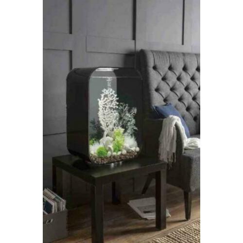Biorb life 60 black