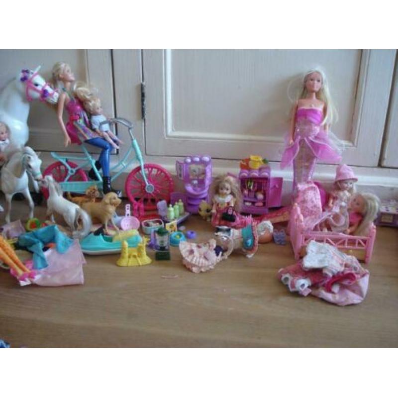 Groot pakket Barbie's en toebehoren, kleding etc