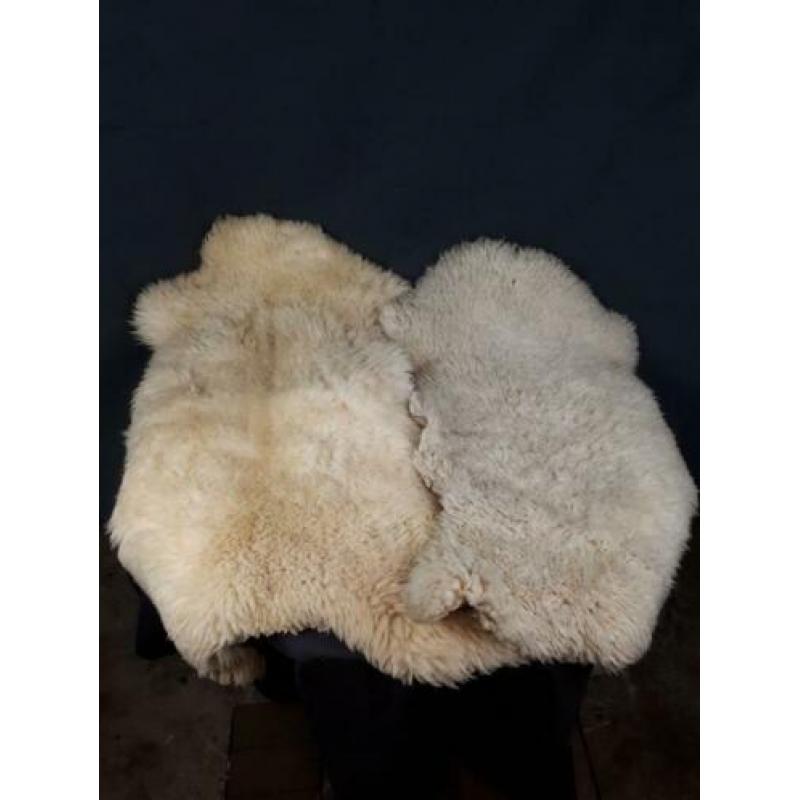 Twee schapen huiden