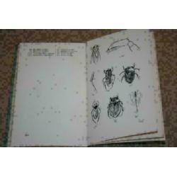 Wantsen (Insecten) - Serie Wat leeft en groeit - Ca 1950 !!