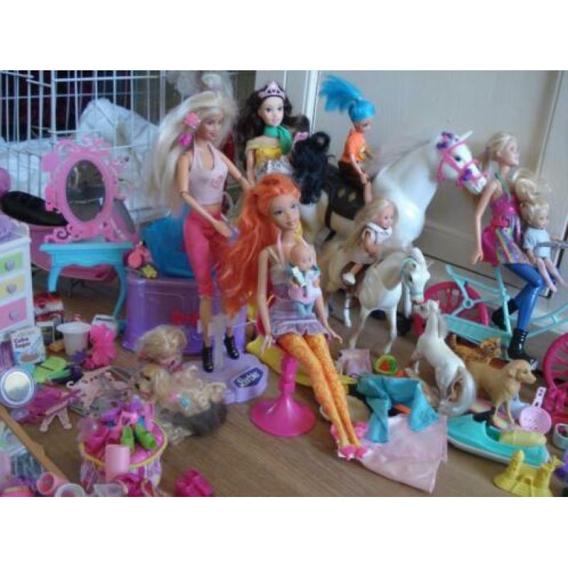 Groot pakket Barbie's en toebehoren, kleding etc